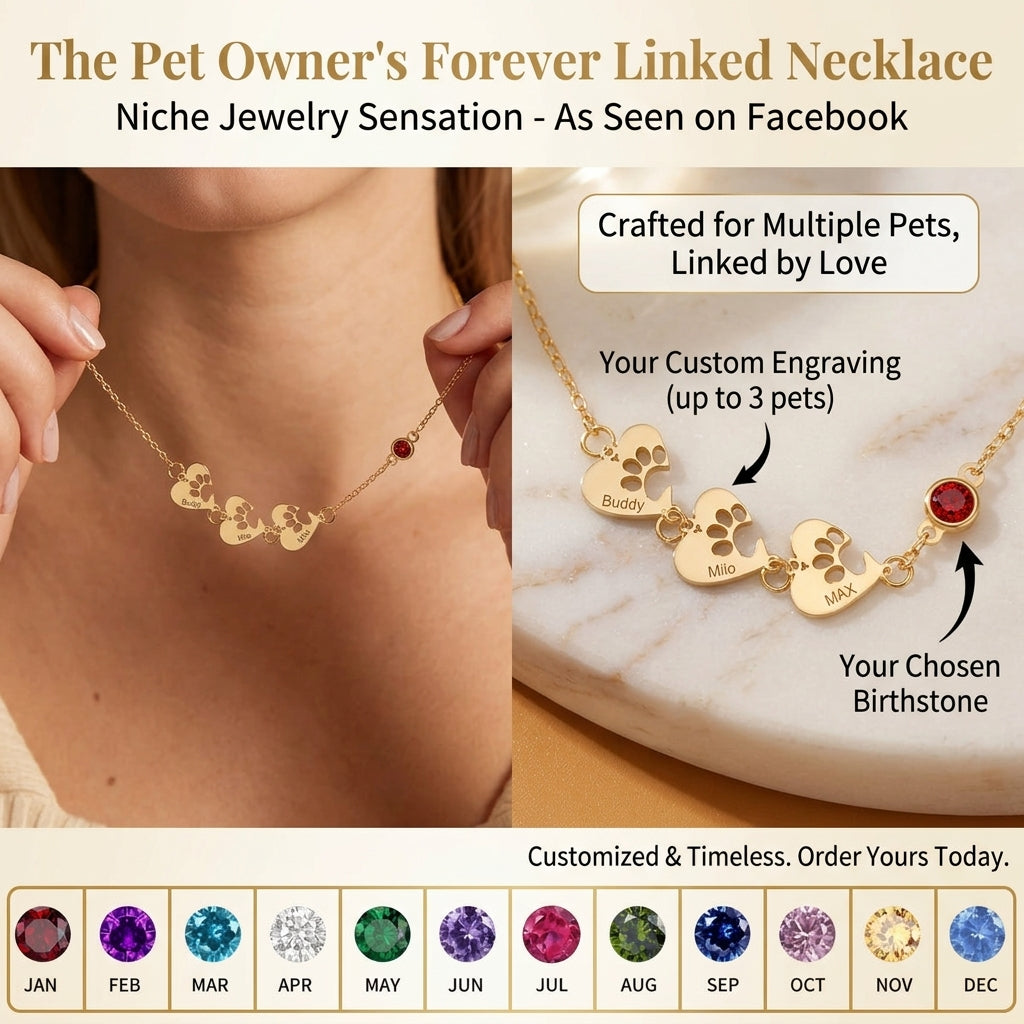 Personalized Heart Paw Print Birthstone Necklace - Custom Pet Name Jewelry Stainless Steel Gift for Pet Lovers