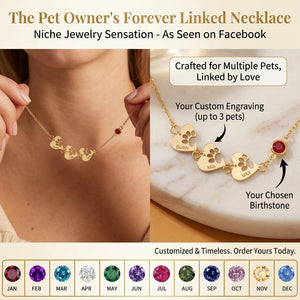 Personalized Heart Paw Print Birthstone Necklace - Custom Pet Name Jewelry Stainless Steel Gift for Pet Lovers